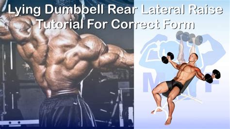 Lying Dumbbell Rear Lateral Raise Tutorial For Correct Form