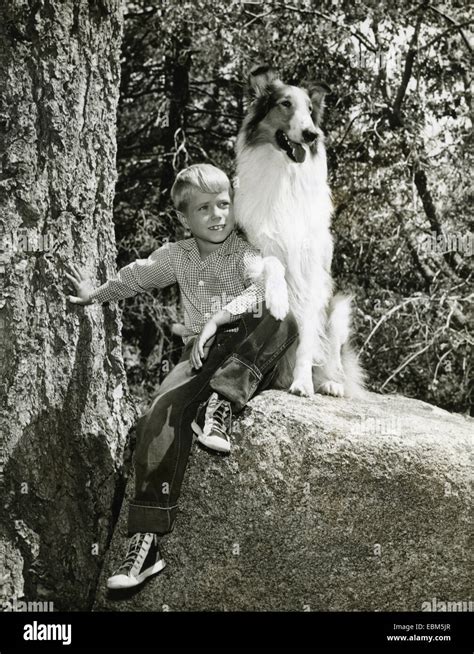 Lassie Us Cbs Fernsehserie Mit Jon Provost Als Timmy 1957