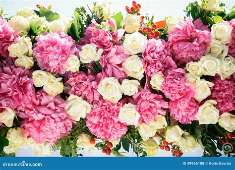 Beautiful Peonies And Roses Stock Photo Image Of White Cream 49966188