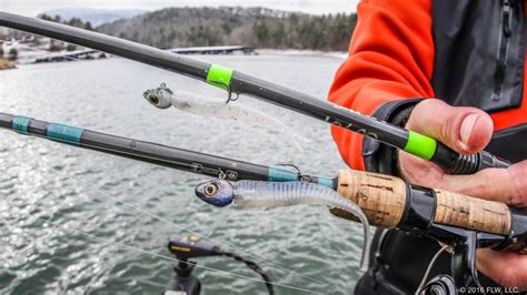 Fishing the Damiki Rig in Winter - FLW Fishing: Articles