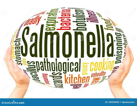 Salmonella Word Cloud Vector Illustration Cartoondealer