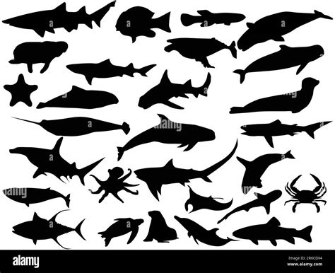 Vector silhouettes of sea creatures Stock Vector Image & Art - Alamy