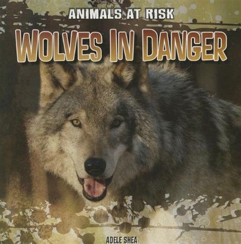 Wolves In Danger Animals At Risk Wolf Life Animals Wolf