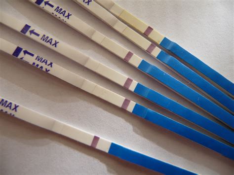 How To Check Pregnancy At Home With Pregnancy Test Kits