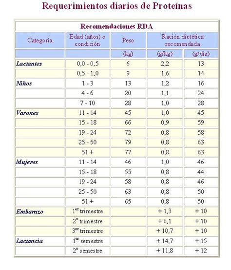 Requerimientos Diarios De Proteínas Nutricion Y Dietas