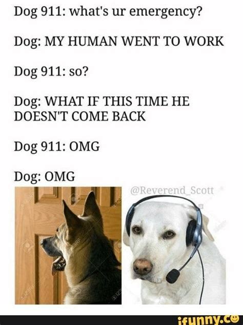 Dog 911 Whats Ur Emergency Dog My Human Went To Work Dog 911 So