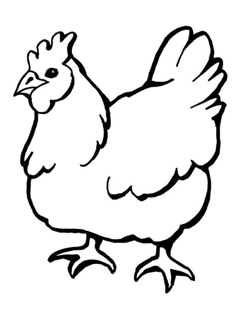 Domestic Hen Coloring Page Free Printable Coloring Pages For Kids
