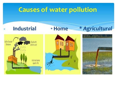 Pdf Causes Of Water Pollution