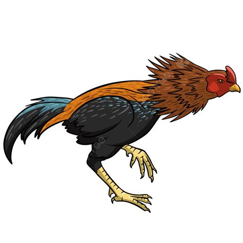 Rooster Rooster Vector Rooster Chicken Fighting Cock Png And Vector