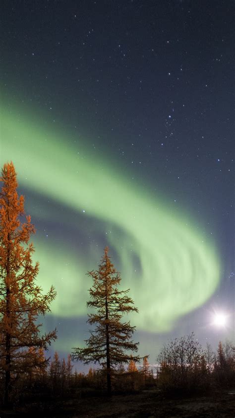 Northern Lights Or Aurora Borealis Tyumen Region Russia
