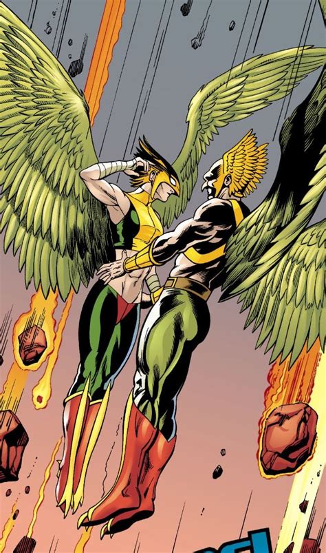 Hawkgirl And Hawkman Hawkgirl Hawkman Comic Book Cover