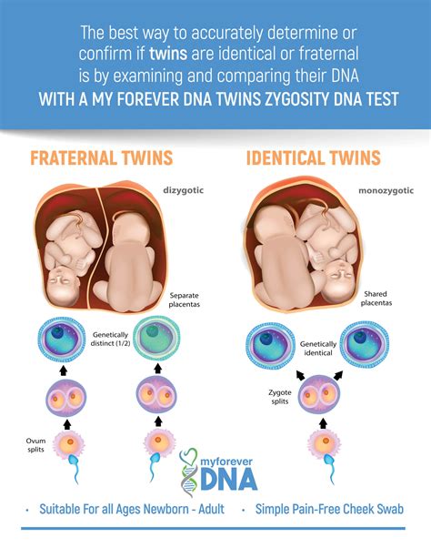 At Home Twin Zygosity Dna Test Kit My Forever Dna