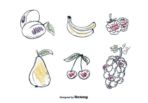 Hand Drawn Fruits Set Vector Download Free Vector Art Stock Graphics