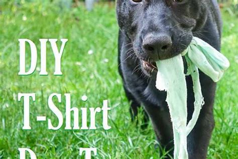 Diy T Shirt Dog Toy Super Easy Pet Treats Sewing Toys T Shirt Diy