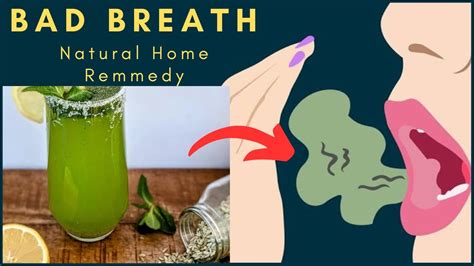 freshen your breath naturally effective home remedies for bad breath