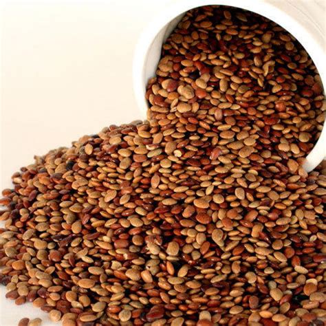 The chemical composition is comparable with commonly cultivated legumes. Horse Gram Seeds at Rs 30 /kilogram | Gram Seed | ID ...