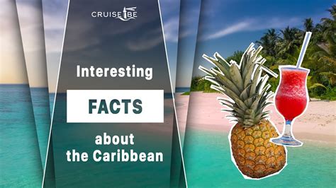 Cruisebe Interesting Facts About The Caribbean Youtube