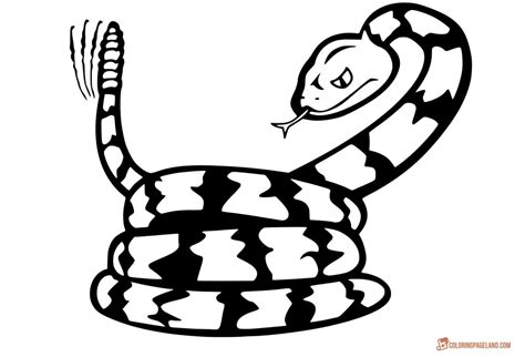 Some of the coloring page names are cute snake in kufia coloring, king cobra coloring at, collection of fantastic snake coloring, baby snake click on the coloring page to open in a new window and print. Snake Coloring Pages - Free Downloadable and Printable Sheets