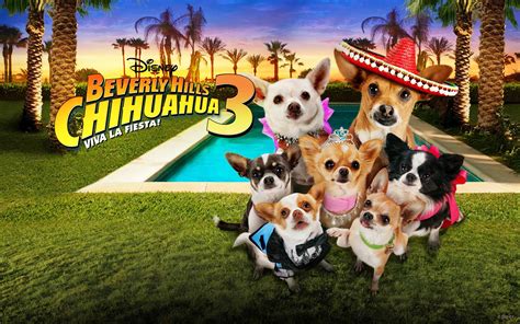 Beverly Hills Chihuahua Wallpapers Movie Hq Beverly Hills Chihuahua