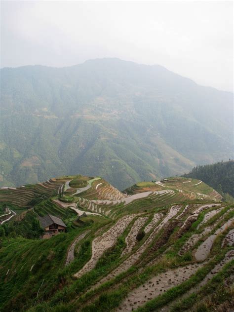 Most Beautiful Terraced Rice Fields The Wow Style