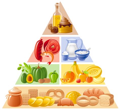 Piramida makanan pertama adalah penemuan swedia dan itu adalah ketika versi panduan makanan kami kembali kepada kami direvisi, kami terkejut menemukan bahwa itu sangat berbeda dari yang kami. Balanced food pyramid infographics template vector 02 ...