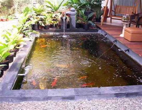 ツ 45+ contoh desain kolam ikan hias minimalis sederhana