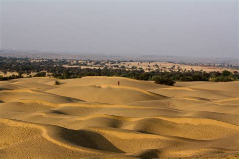 Filethar Desert Rajasthan India Wikimedia Commons