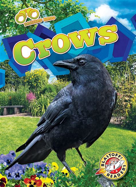 Crows Blastoff Readers Level 1 Backyard Birds Barnes Rachael