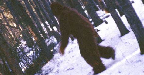 Video Has Yeti Mystery Finally Been Solved Bigfoot Could Be Cross