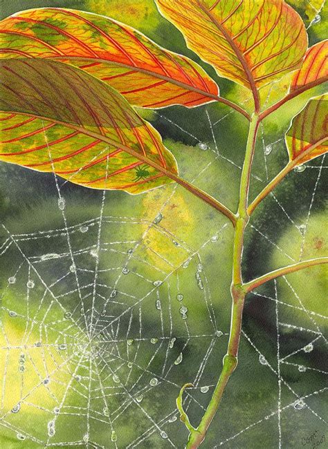 Dew Drop Art Print By Catherine G Mcelroy Spider Art Spider Web Art