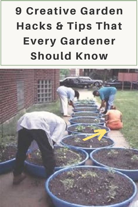 9 creative garden hacks and tips that every gardener should know garden ideas gardening ideas