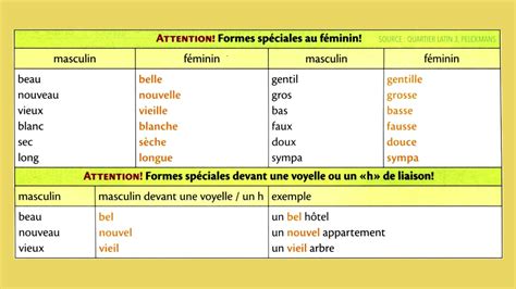 Masculin féminin singulier pluriel Grammaire française YouTube