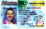 Images of Arkansas Insurance License Lookup