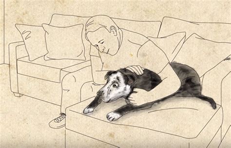 La Emocionante Historia De Cómo Un Perro De Refugio Salvó La Vida A Su