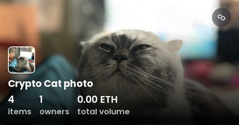 Crypto Cat Photo Collection Opensea