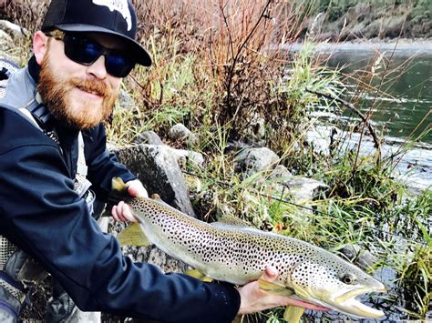 Angler S Devotion Nets Huge Spokane River Brown Trout The Spokesman Review