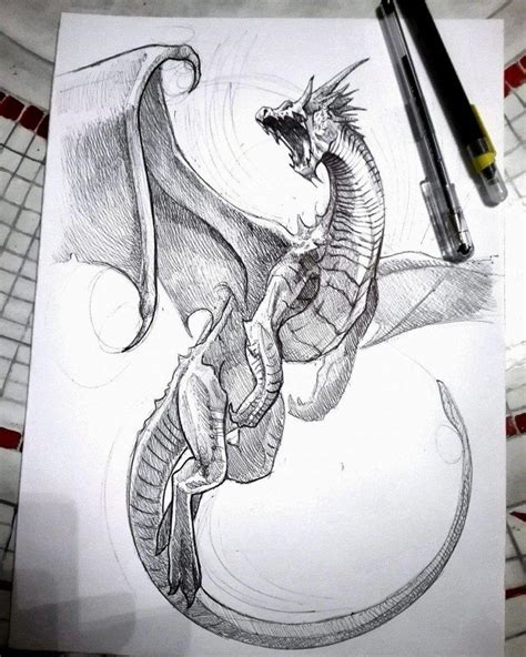 Como Dibujar Dragones Dragon Head Drawing Dragon Drawing Easy Porn Sex Picture