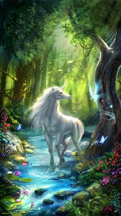 Fairy Unicorn Fairies Unicorns Forest Wallpapers Fantasy