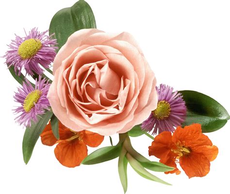 Fiori e pensieri laquila, apricot wedding flowers, branch, artificial flower png. Ramilletes de flores en png - Imagui