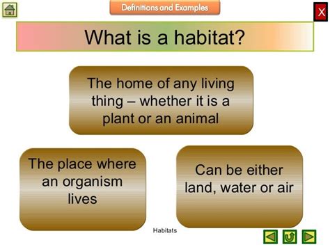 Biology M1 Ecology Habitats