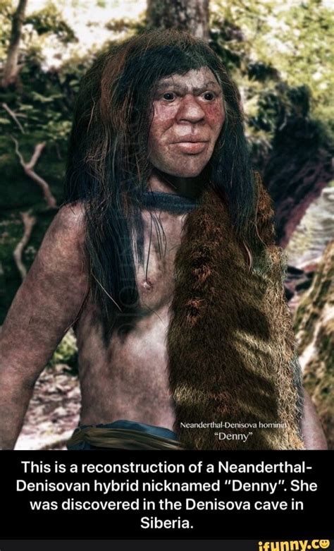 This Is A Reconstruction Of A Neanderthal Denisovan Hybrid Nicknamed