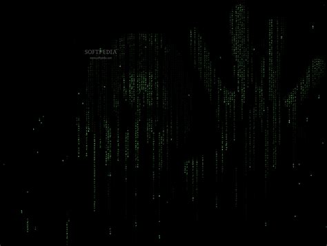 Download Trinitys Matrix Animated Wallpaper 100