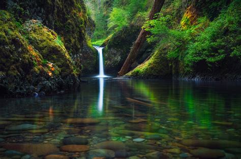 Hd Wallpaper United States State Oregon Waterfall River Forest Autumn