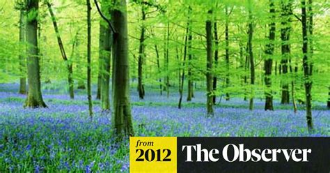 Gossip From The Forest By Sara Maitland Review Science And Nature