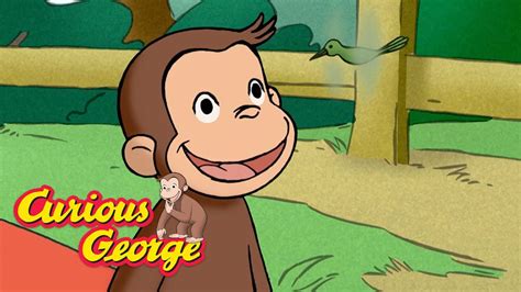 Curious George 🐵 George Loves The Countryside 🐵 Kids Cartoon 🐵 Kids