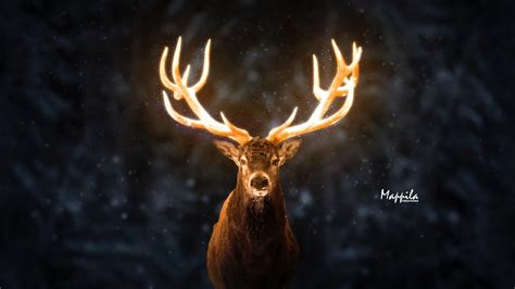 Glowing Deer Manipulation On Behance