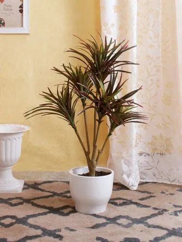 Greenpurple Artificial Yucca Plant Without Pot 92 Cm Tall 5 Branches