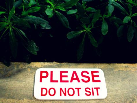 Please Dont Sit On The Plants By Ezustroka On Deviantart