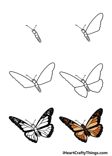 Monarch Butterfly Drawing