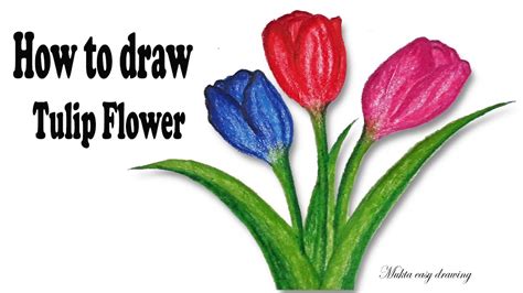 How To Draw A Bouquet Of Tulips This Tulip Drawing Is Suitable For